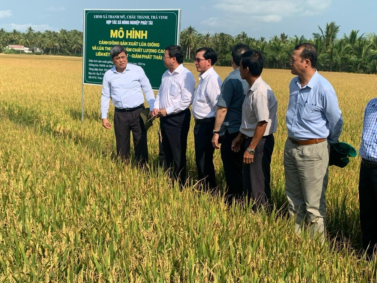 Thứ trưởng NN thăm HTX Phát Tài - Trà Vinh